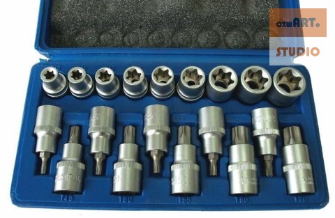 BITY I NASADKI - torx CV T20-70 E10-24 1/2" ZESTAW 19szt