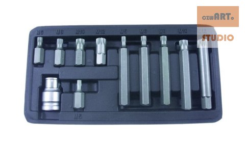 Zestaw bitów SPLINE, 12-kątnych 10 szt. + adapter Zestaw bitów SPLINE, 12-kątnych 10 szt. + adapter
