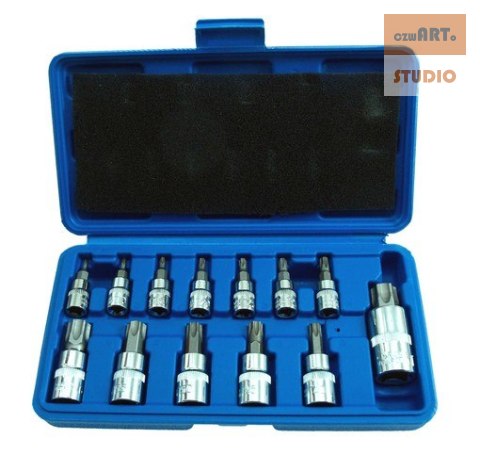 Zestaw bitów TORX, 6-kątnych 13 szt. T8-T70 1/4, 3/8 1/2