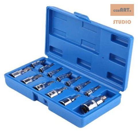 Zestaw bitów TORX, 6-kątnych 13 szt. T8-T70 1/4, 3/8 1/2 Zestaw bitów TORX, 6-kątnych 13 szt. T8-T70 1/4, 3/8 1/2