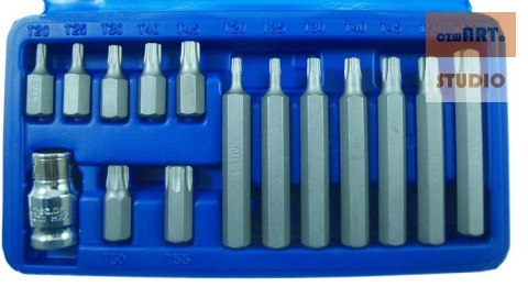 Zestaw bitów TORX, 6-kątnych 14 szt. + adapter Zestaw bitów TORX, 6-kątnych 14 szt. + adapter