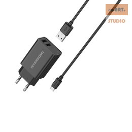 Riversong ładowarka sieciowa SafeKub D2 2xUSB 12W czarny AD29 +kabel micro CM85